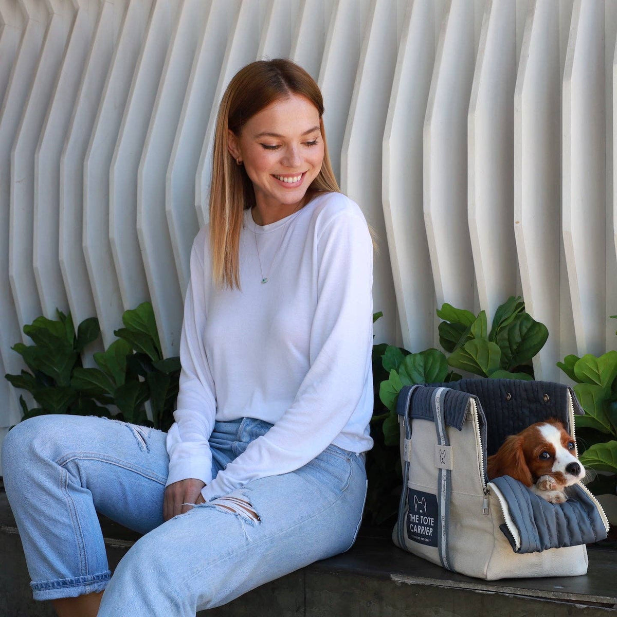 Nandog The Tote Dog Carrier WestJet Store