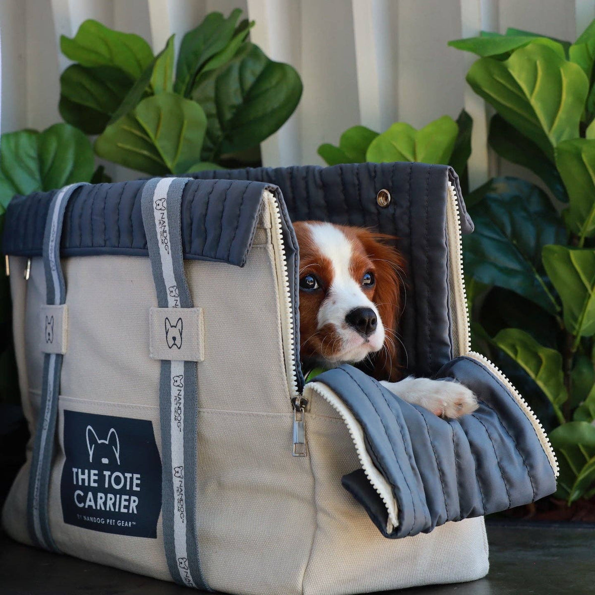 Nandog The Tote Dog Carrier WestJet Store