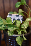 Plant Buddies - Cow