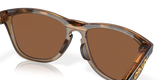 Oakley - Frogskins™ Range Polarized
