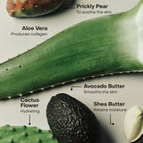 Sidia - The Wash: BRALESS