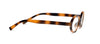 Peepers - Filly - Mocha Tortoise