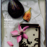 Sidia - MIDAS: The Body Mist
