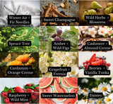 CARNELIAN CRYSTALS | CAR DIFFUSER: Raspberry + Wild Mint