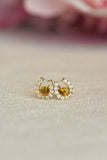 Luxe Horseshoe Earrings