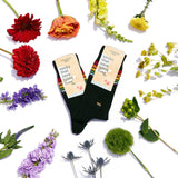 Socks that Save LGBTQ Lives | Rainbow Stripe