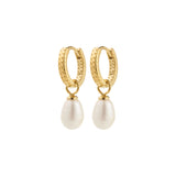 Pilgrim - ELLIANA freshwater pearl hoop earrings - Gold