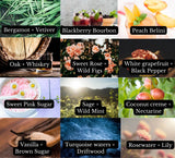 CARNELIAN CRYSTALS | CAR DIFFUSER: Raspberry + Wild Mint