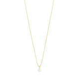 Pilgrim - HADLEY recycled freshwater pearl necklace