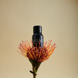 Vitruvi - Legacy Essential Oil Blend
