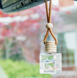 CARNELIAN CRYSTALS | CAR DIFFUSER: Raspberry + Wild Mint