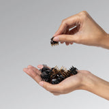 Kitsch - Black & Tort Micro Cloud Clip 16pc Set