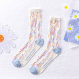 Rufia Mesh Socks for Women - Cool and FashionablePatterns