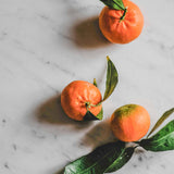 Vitruvi - Earl Grey Push Scent Refill