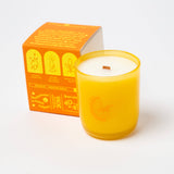Citrus - Essential Oil Coconut Soy 8oz Candle