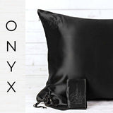 Blush Silks -Queen Size -100% Pure Mulberry Silk Pillowcase: Queen Size / Charcoal