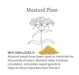 Barefoot Venus - 100% Natural Mustard Bath Detox Soak: 480g