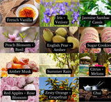 ADVENTURE AWAITS | CAR DIFFUSER: Caramel + Coconut