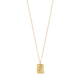 Pilgrim - Recycled Zodiac Sign Necklace