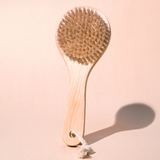 Dry Body Brush 