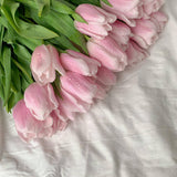 Vitruvi - Clean Laundry Push Scent Refill