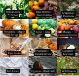 CARNELIAN CRYSTALS | CAR DIFFUSER: Raspberry + Wild Mint