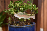 Plant Buddies - Fish