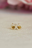 Luxe Horseshoe Earrings