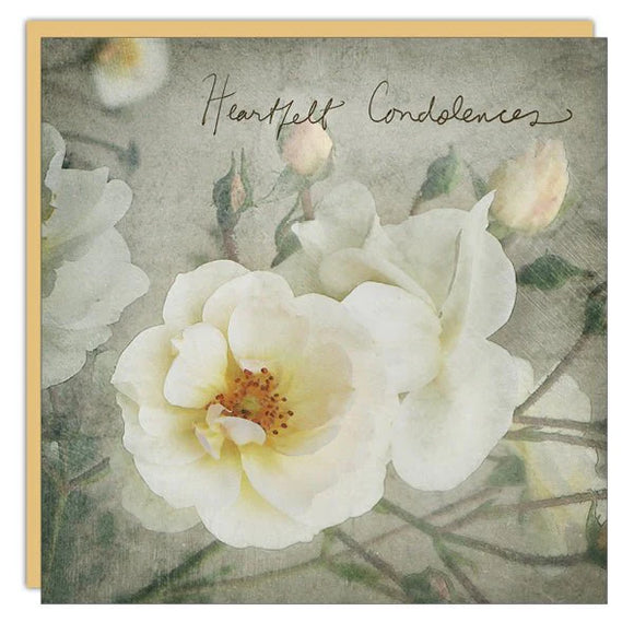 Cedar Mountain - Stationery - Lost & Found Card - Heartfelt Condolences